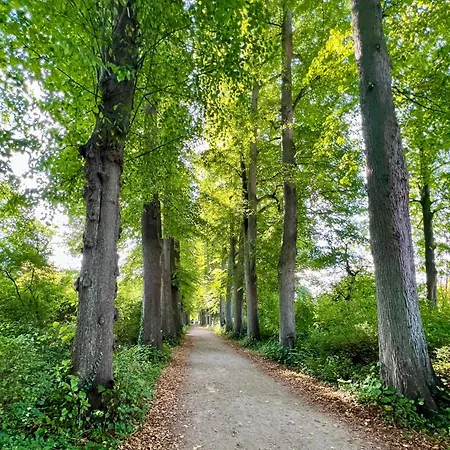 Lejlighed Ostseefeuer