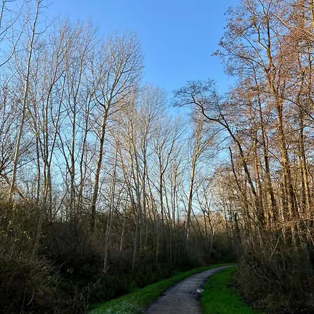 Ostseefeuer Eutin