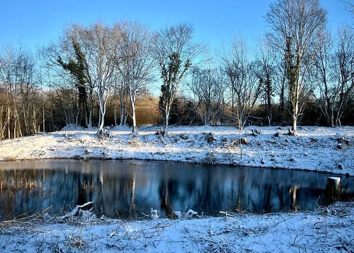 아파트 Ostseefeuer 유틴