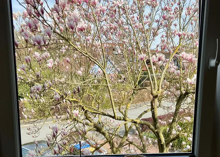 Ostseefeuer * 유틴