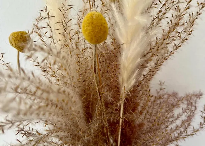 Ostseefeuer 아파트 *